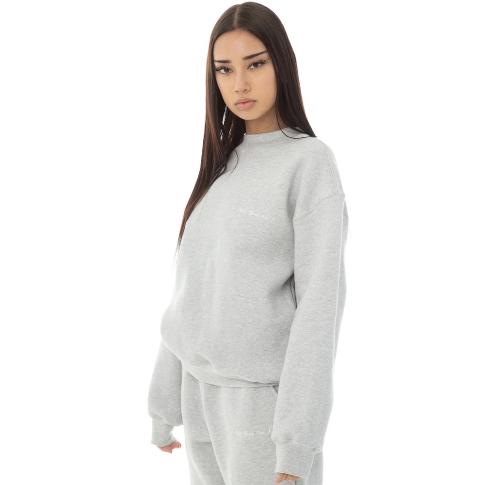 Are you am I gray dewe sweatshirt